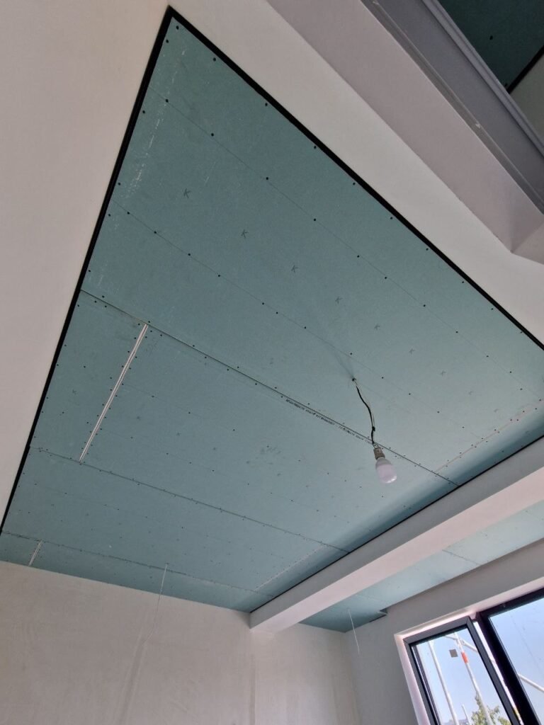 Proiect Suruceni